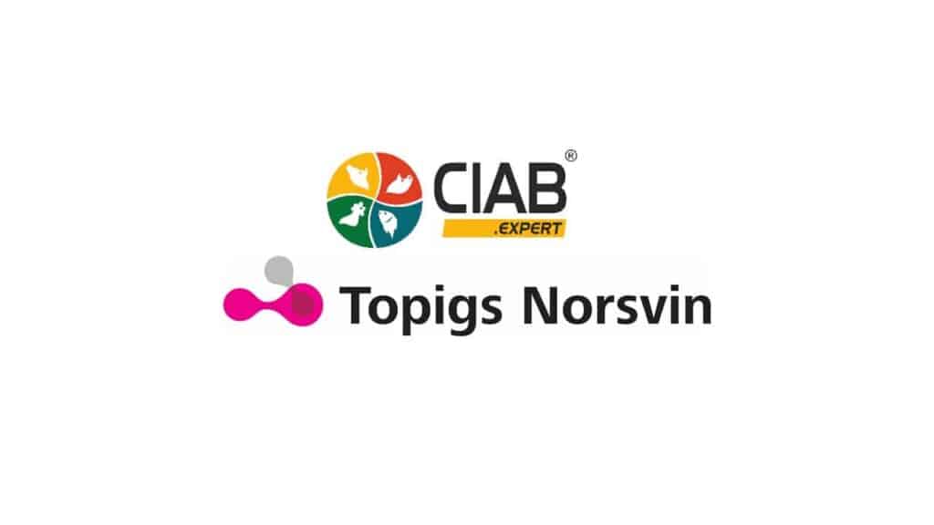 CIAB bliver distributør af Topigs Norsvins genetik i Ukraine