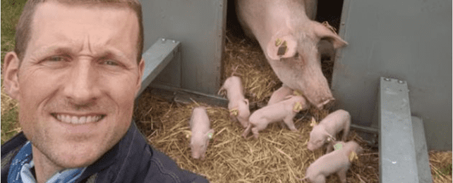Driftsleder: Vi fravænner nogle krabater af grise på 37 kg